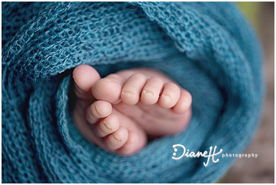 DianeHPhotography_0226.jpg