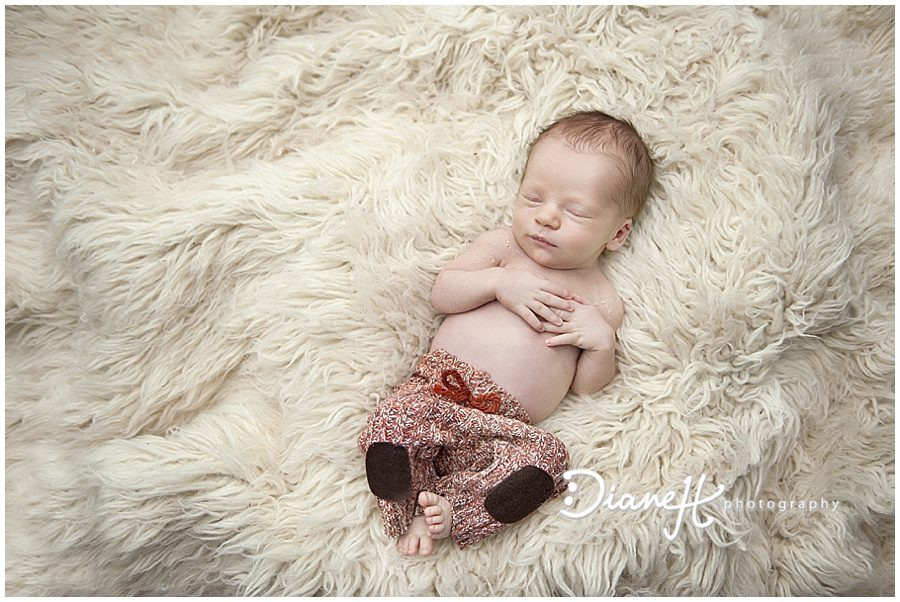 DianeHPhotography_0235.jpg