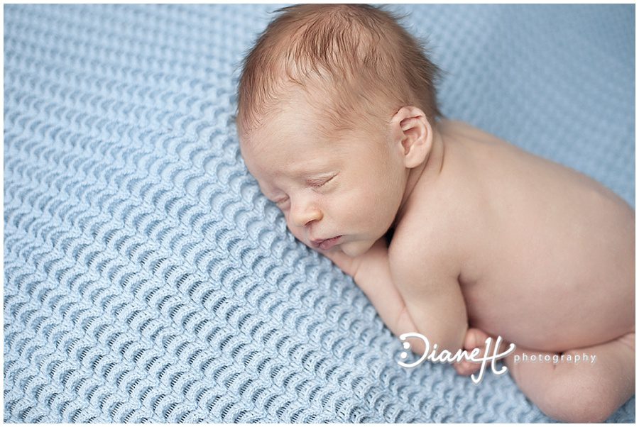 DianeHPhotography_0238.jpg