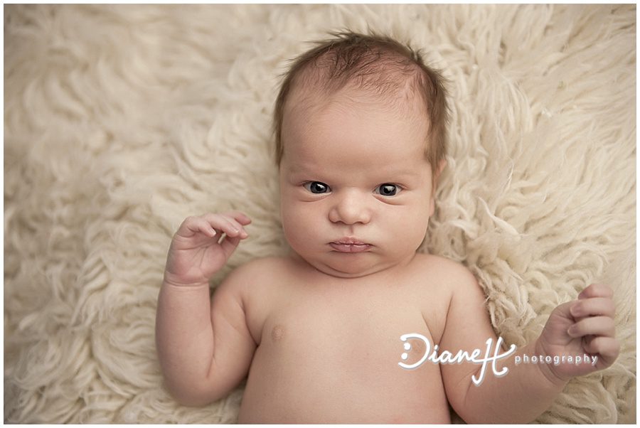 DianeHPhotography_0263.jpg